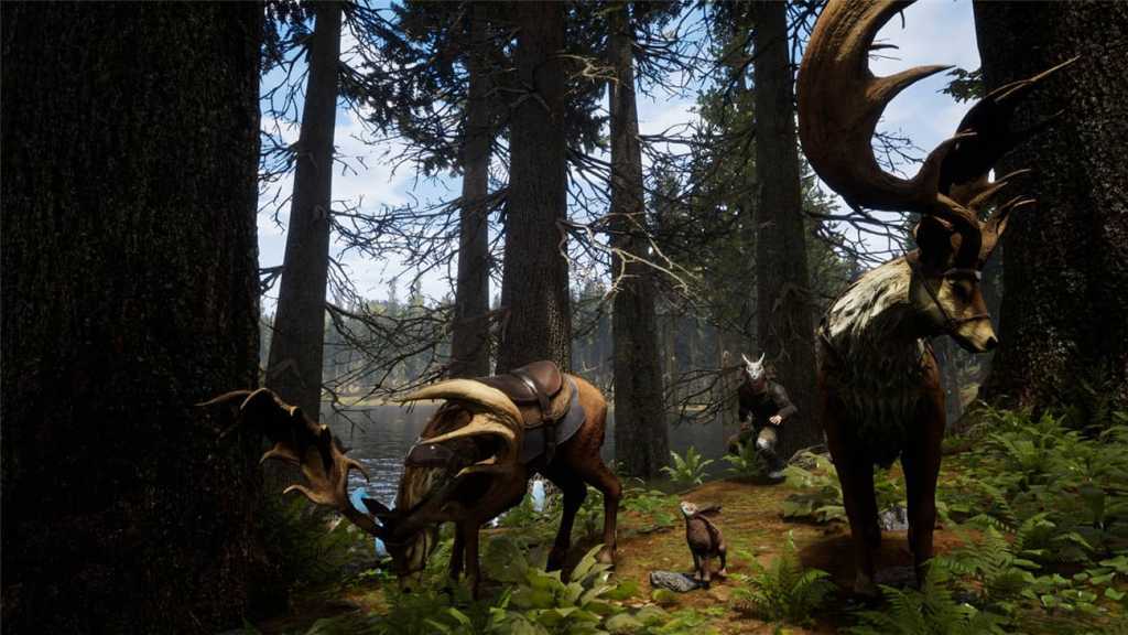 堡垒:火焰之炼/Citadel: Forged with Fire