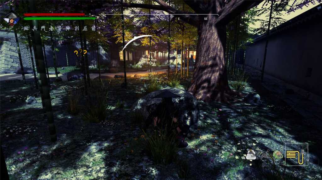 忍者传:三好家的陨落/Tale of Ninja: Fall of the Miyoshi