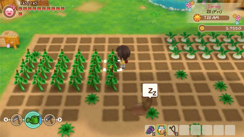 牧场物语:重聚矿石镇/STORY OF SEASONS: Friends of Mineral Town