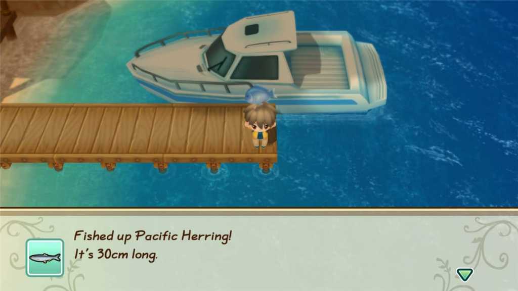 牧场物语:重聚矿石镇/STORY OF SEASONS: Friends of Mineral Town