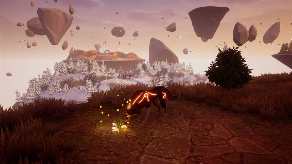 爪与魂/Paws and Soul