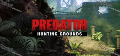 铁血战士：狩猎场/Predator: Hunting Grounds/支持网络联机