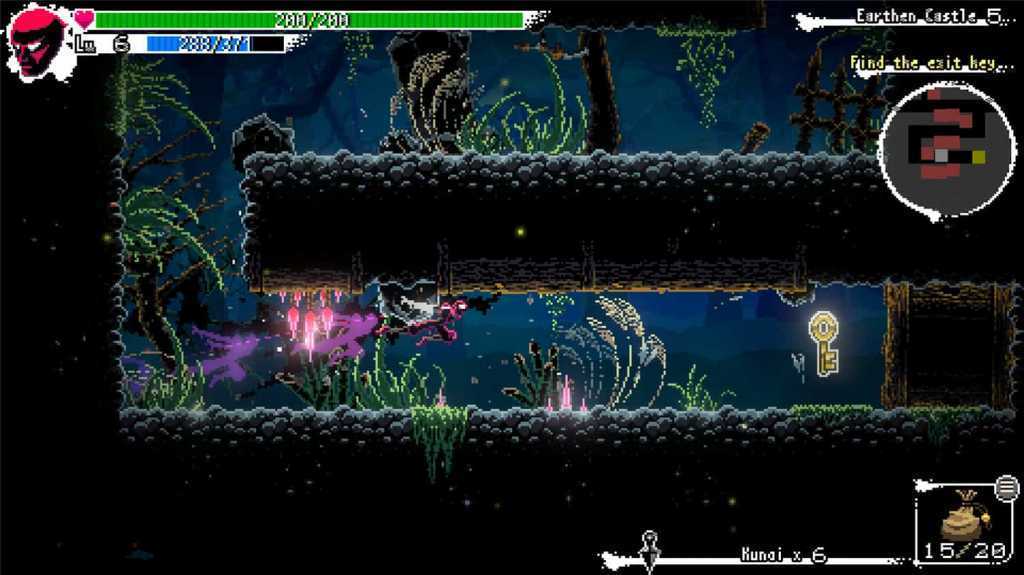 忍者或死亡:太阳之影/Ninja or Die: Shadow of the Sun