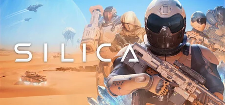 Silica/支持网络联机