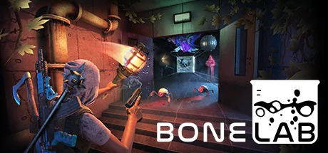 BONELAB/支持网络联机