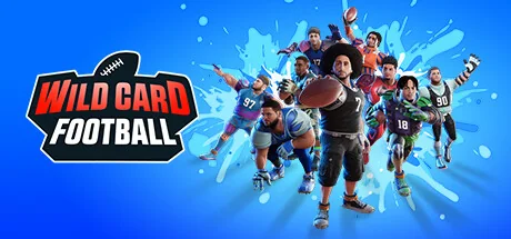 野卡橄榄球/Wild Card Football