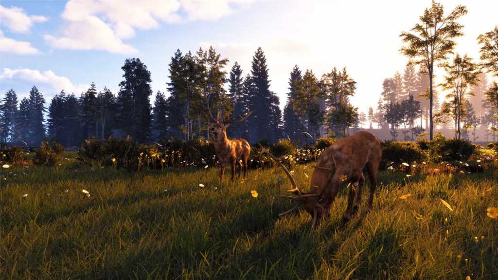 风暴:深厚友谊的开始 重制版/Windstorm: Start of a Great Friendship - Remastered