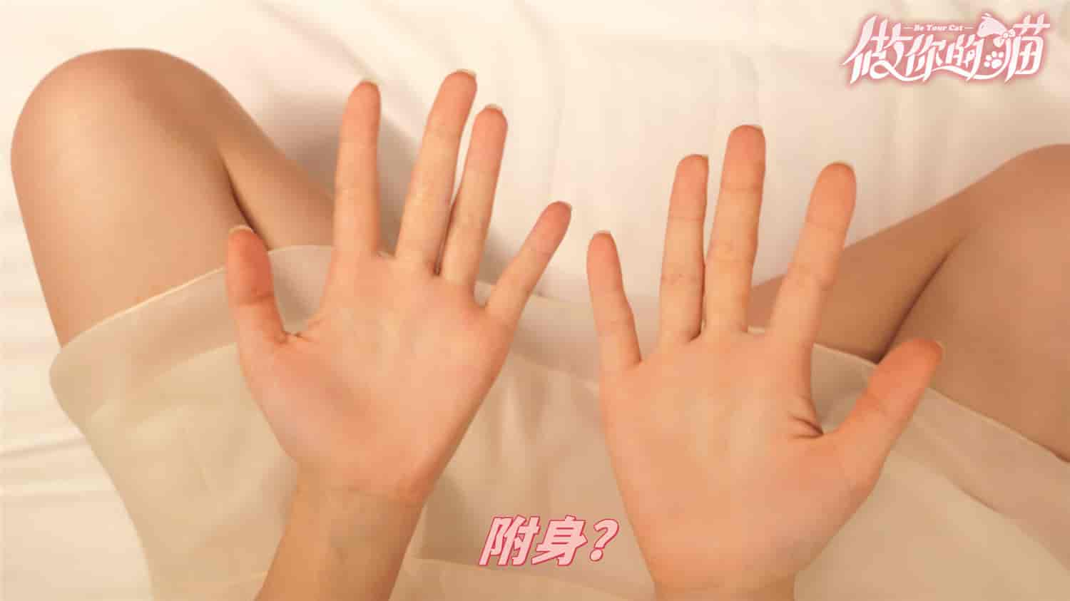 做你的猫/BeYourCat