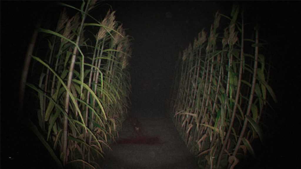 诡影实录/Unknown Tapes