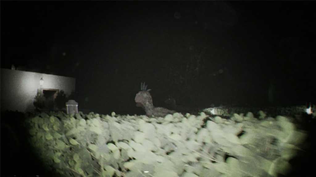 诡影实录/Unknown Tapes