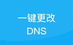 DNS Pro 更改器 自定义DNS修改