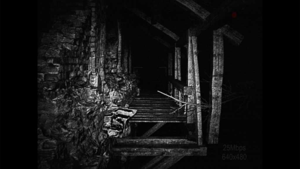 [录制] 荒芜/[REC] Desolation