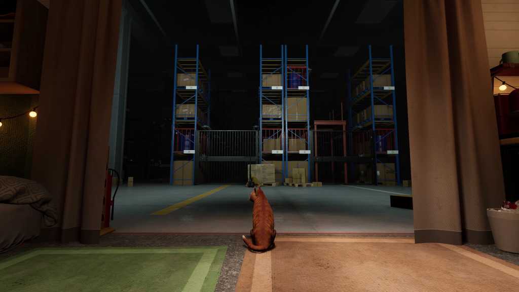 猫好货坏/ORDER 13