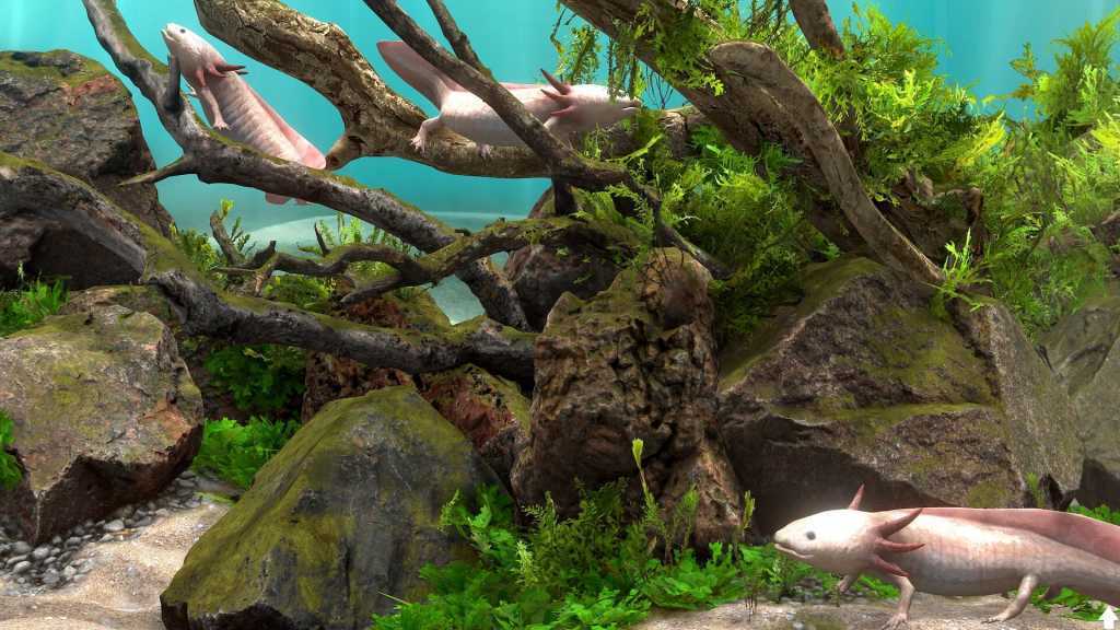 玻璃背后:水族馆模拟器/Behind Glass: Aquarium Simulator