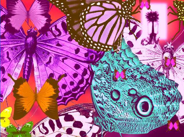 无尽空虚/The Endless Empty