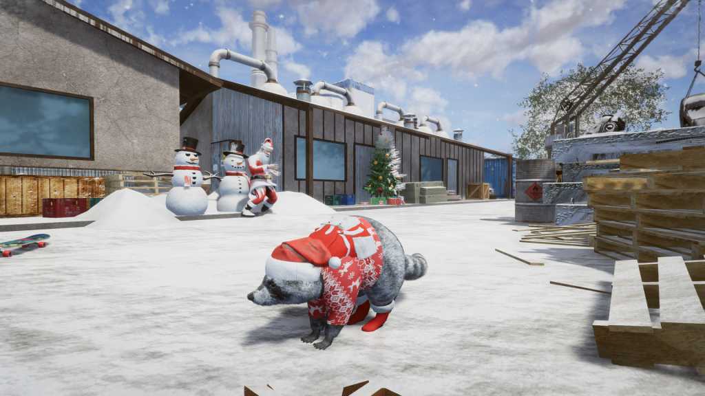 浣熊通缉犯/Wanted Raccoon