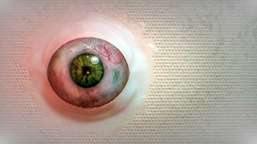 破碎怪谈:切勿直视/BrokenLore: DON'T WATCH