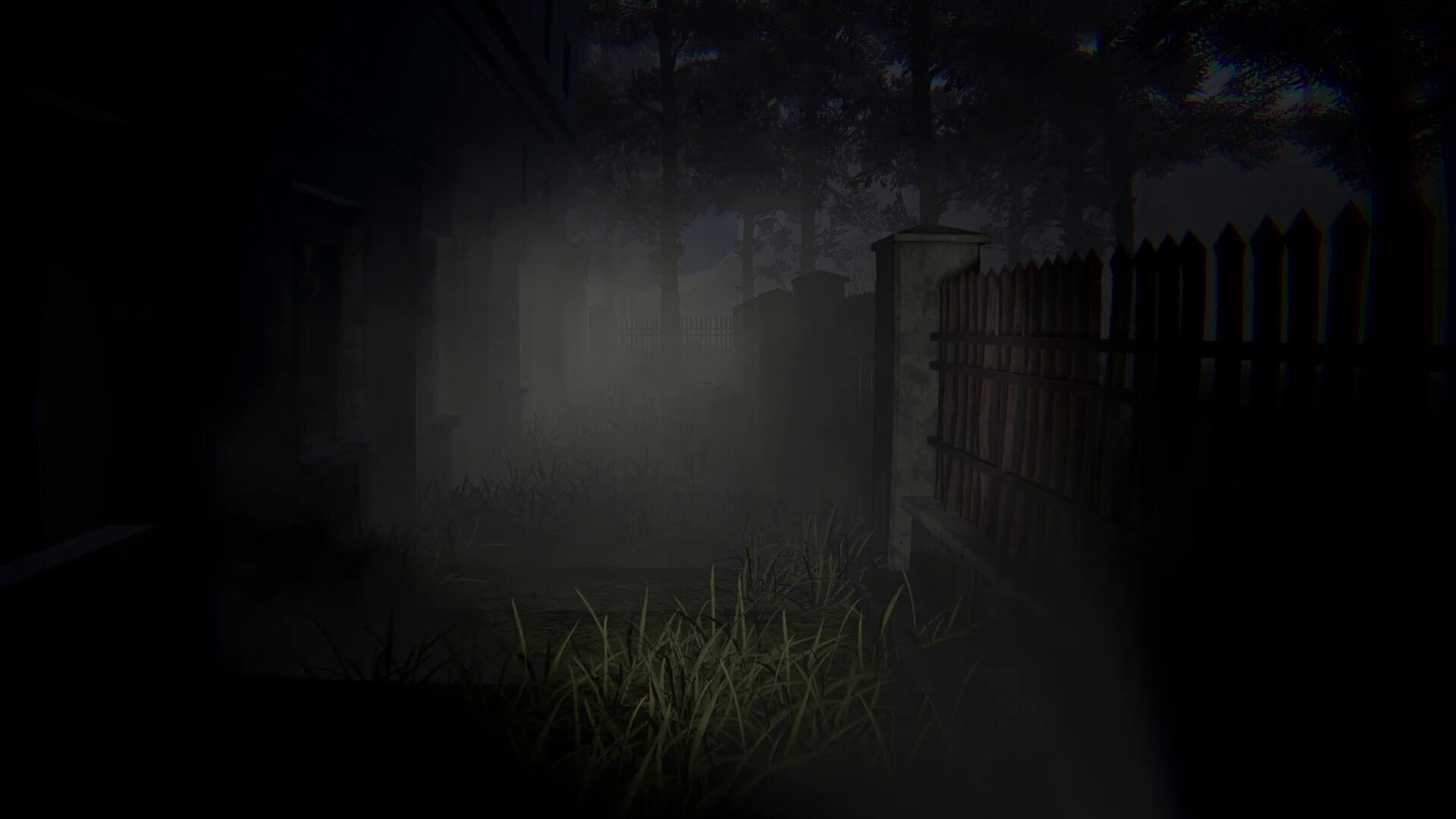 病患001/Patient 001