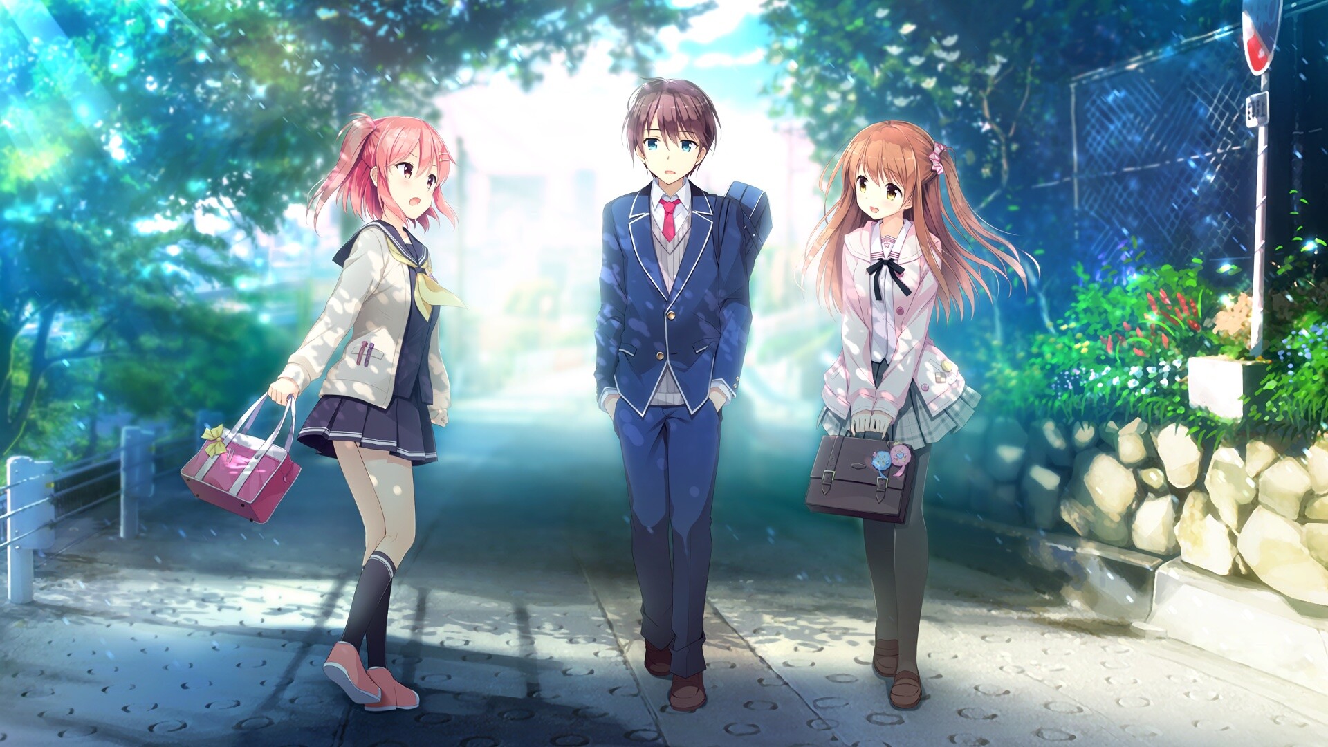 想要传达给你的爱恋/Koi x Shin Ai Kanojo