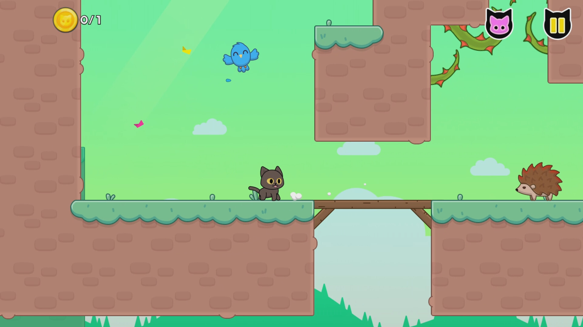 猫咪爱鸟/Kitty Loves Birds