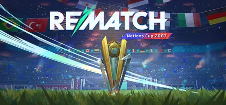 开球!/REMATCH/支持网络联机