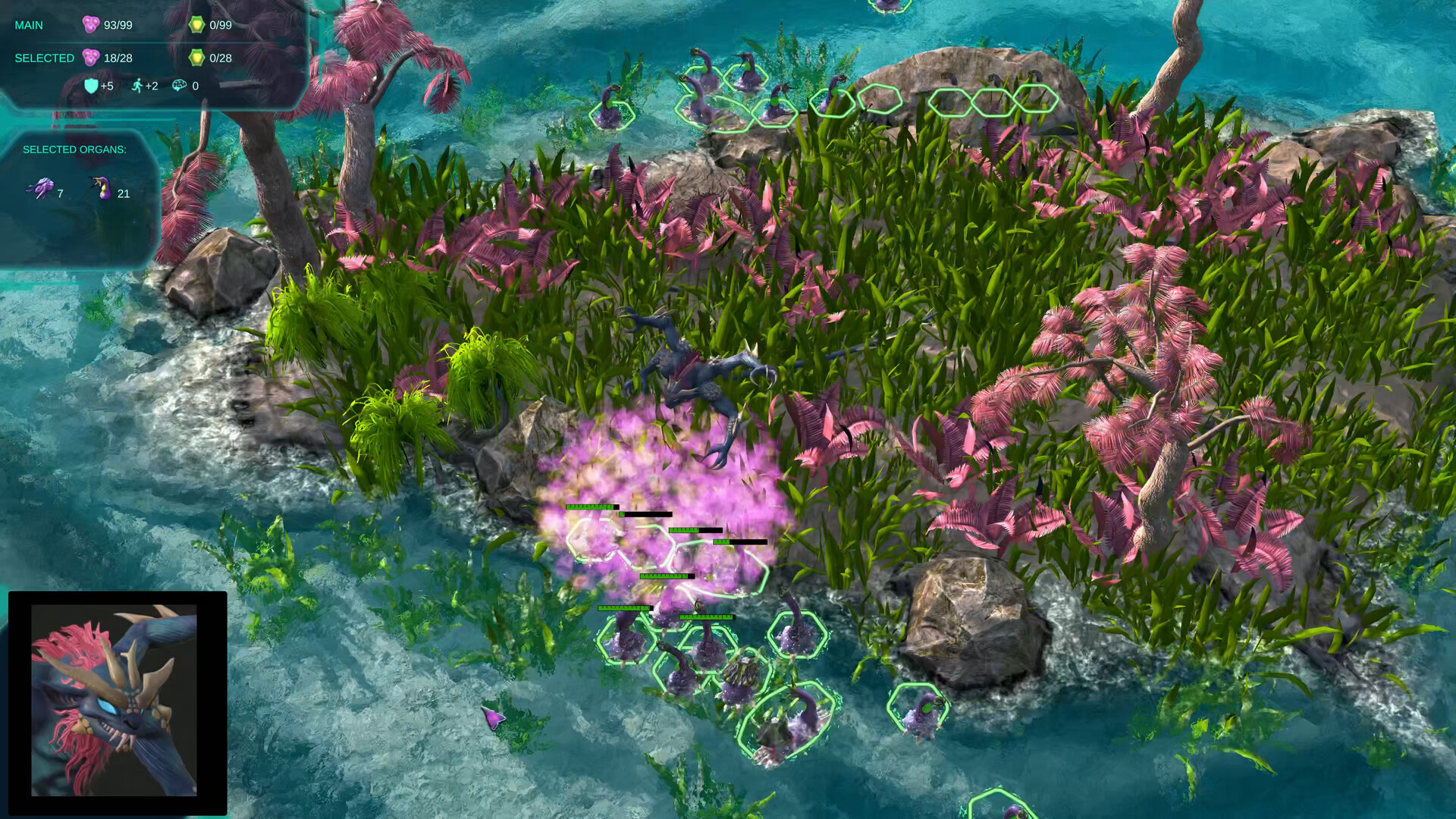 莫度战争/Moduwar