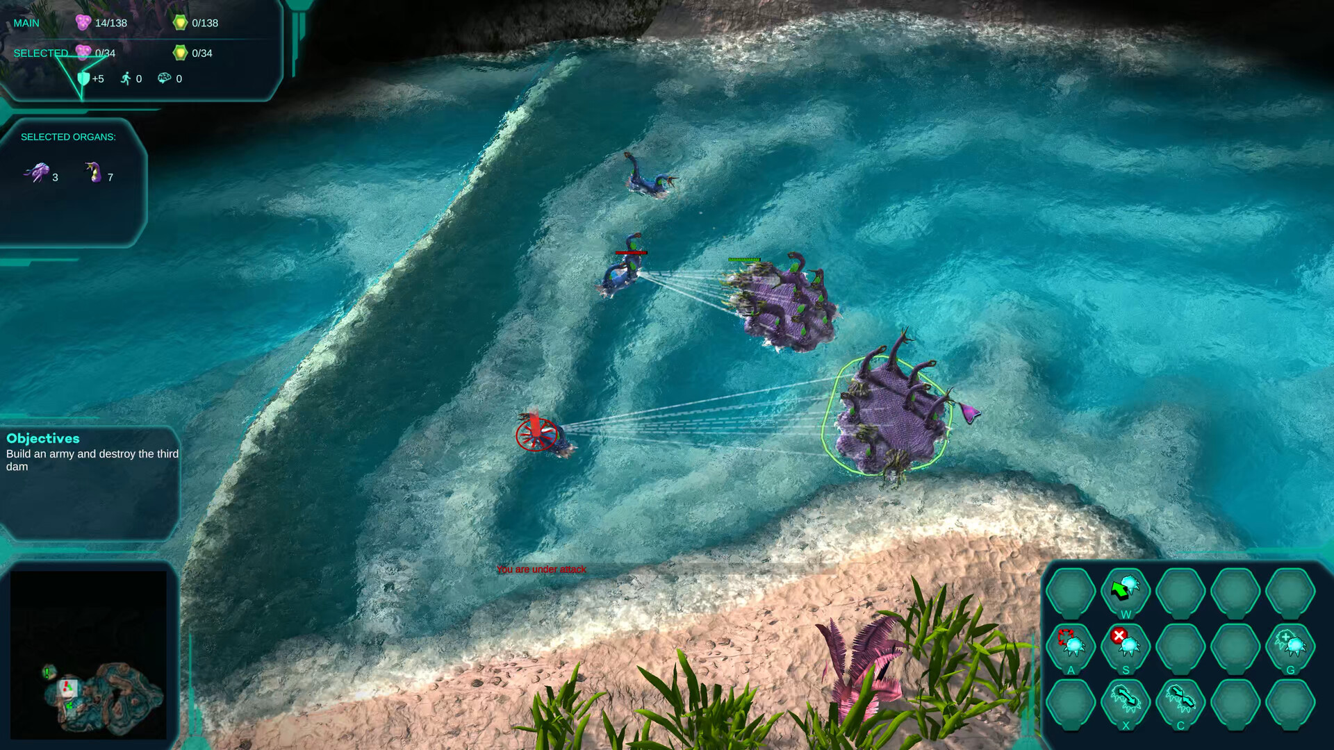 莫度战争/Moduwar