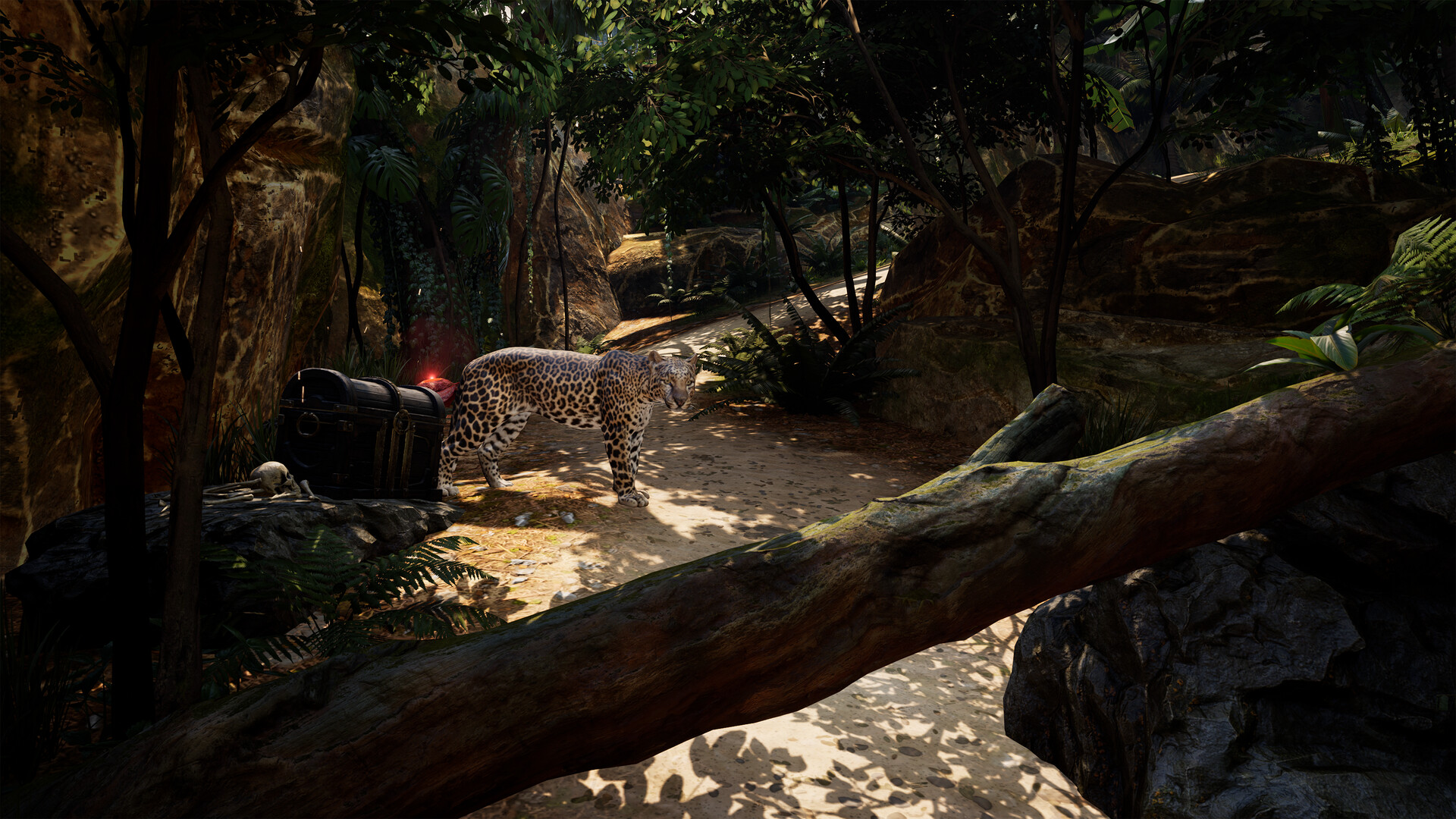 海盗VR: 海盗旗/Pirates VR: Jolly Roger