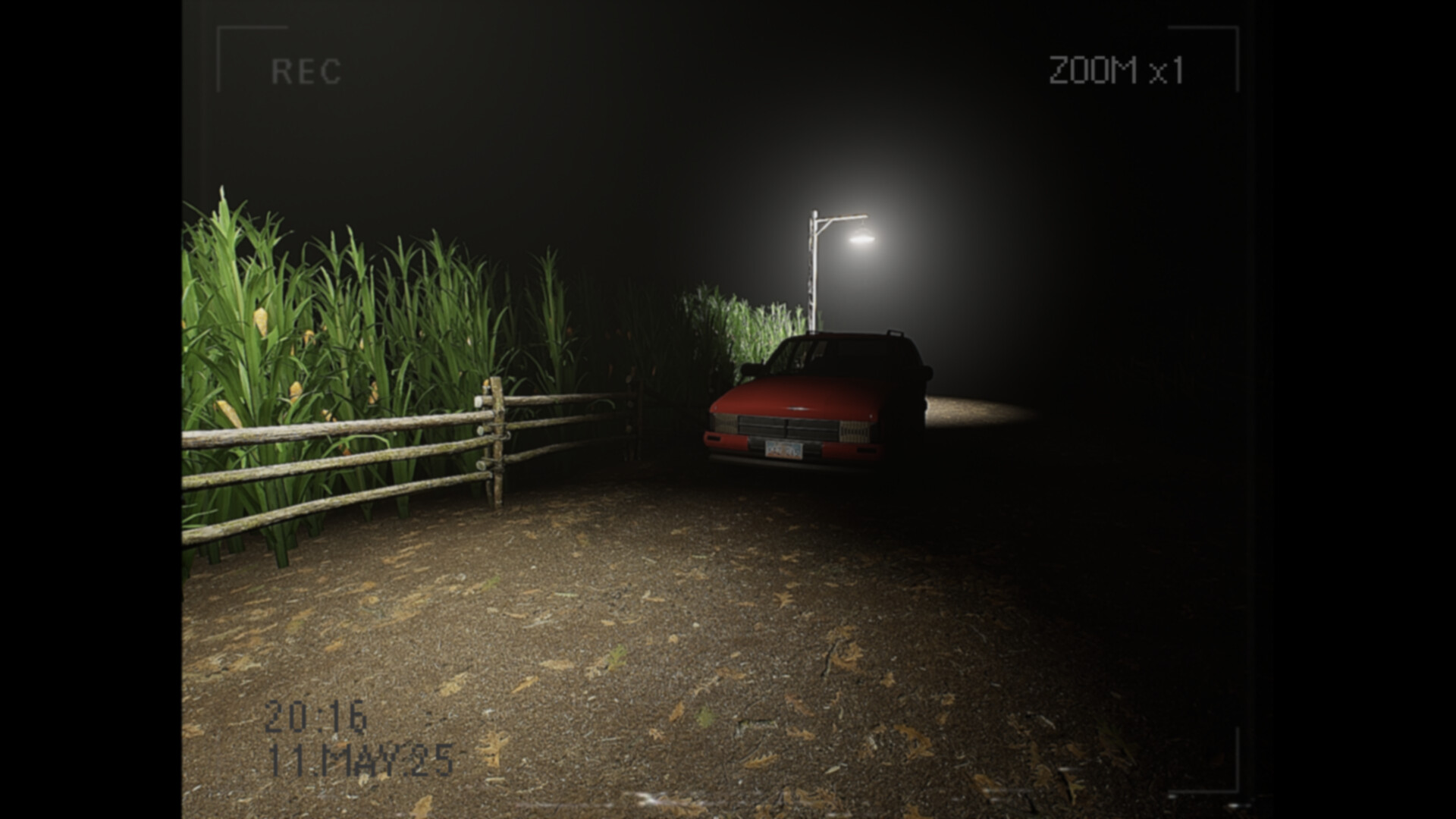 莉莉出了什么事?/What Happened to Lily?