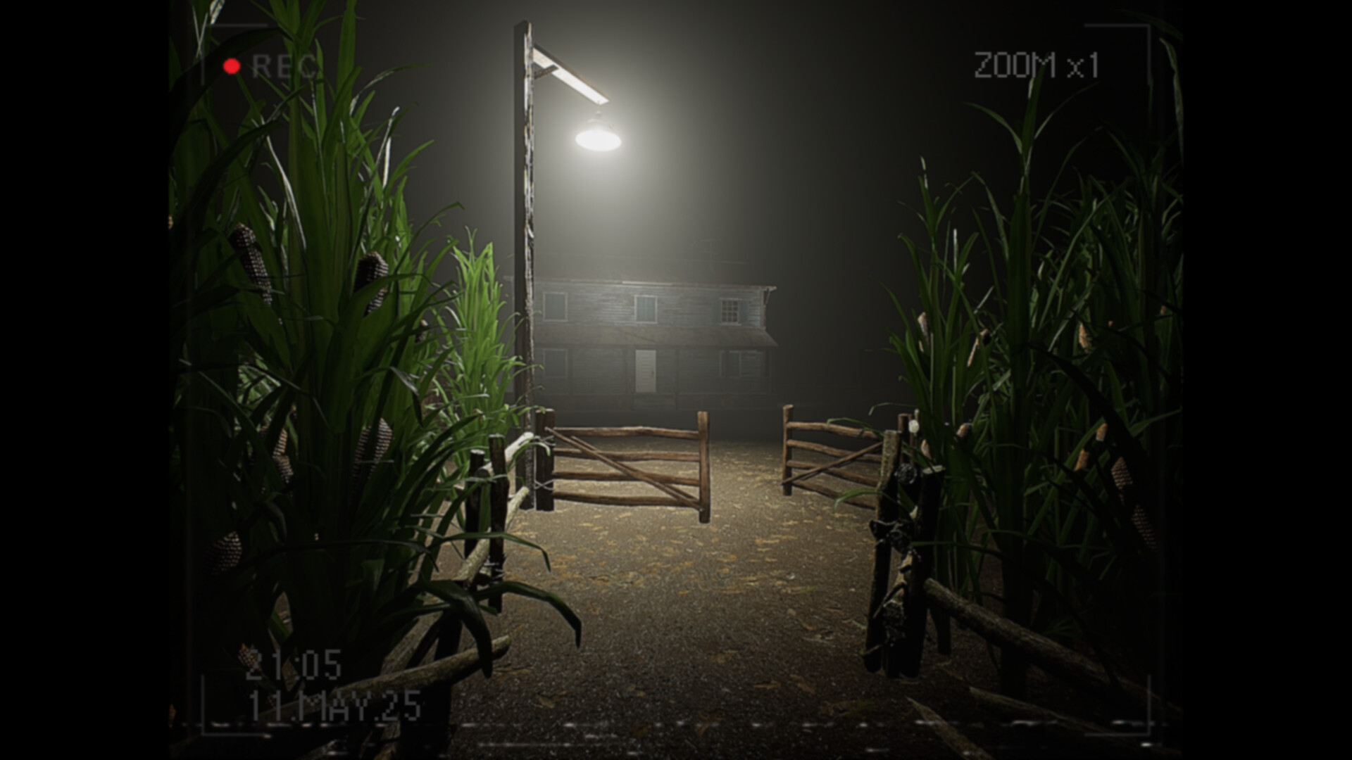 莉莉出了什么事?/What Happened to Lily?