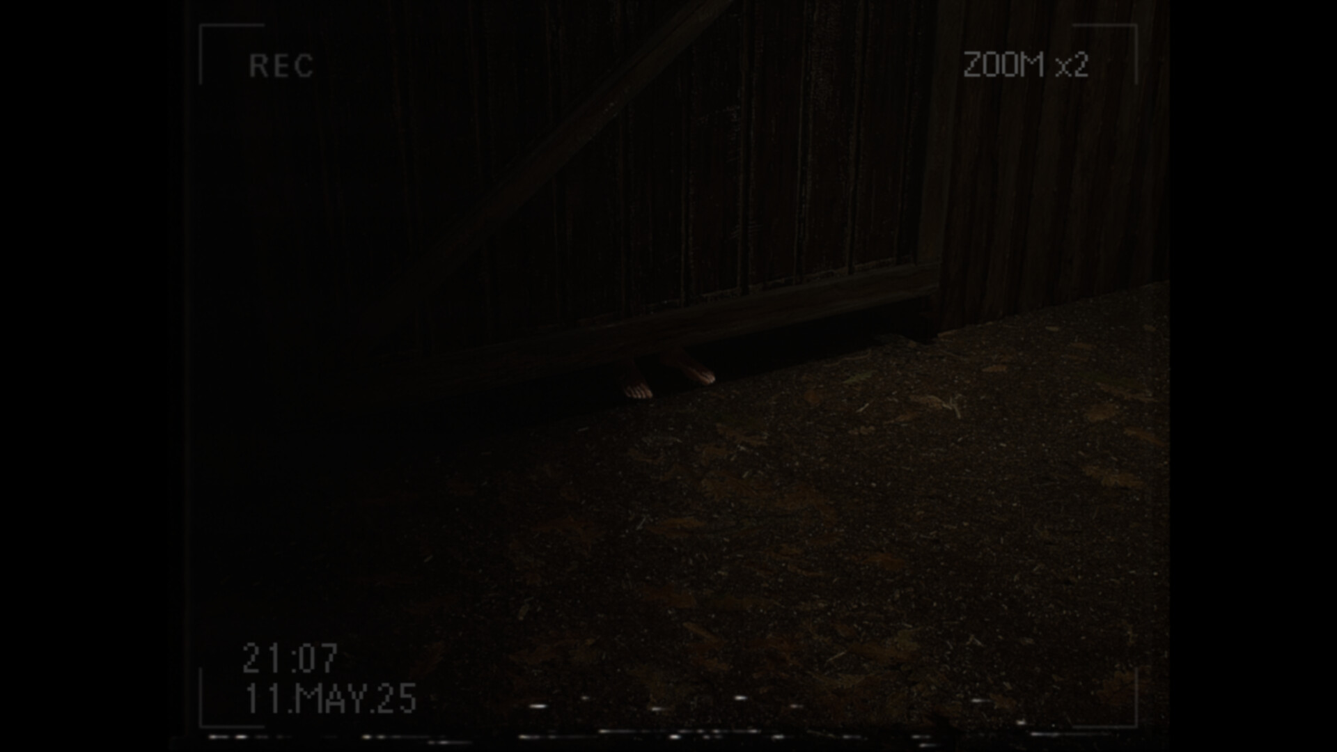 莉莉出了什么事?/What Happened to Lily?