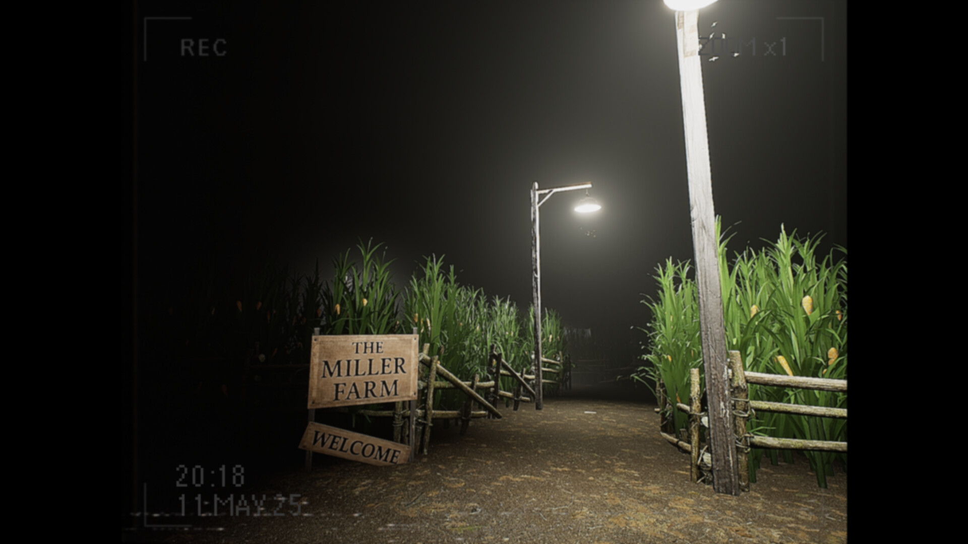 莉莉出了什么事?/What Happened to Lily?