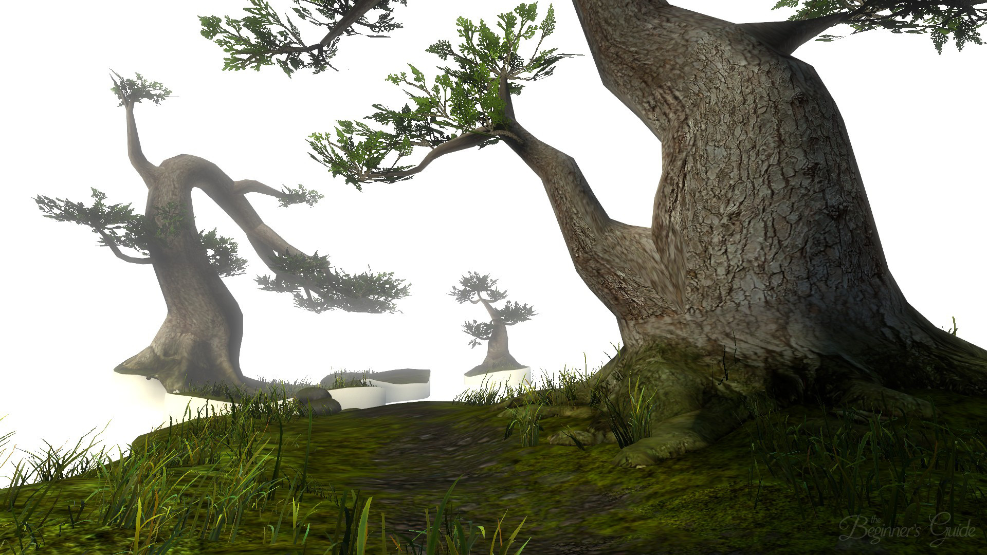 新手指南/The Beginner's Guide