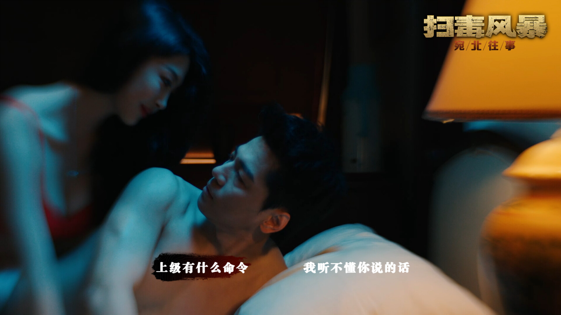 扫毒风暴：宛北往事/The Narcotic Operation