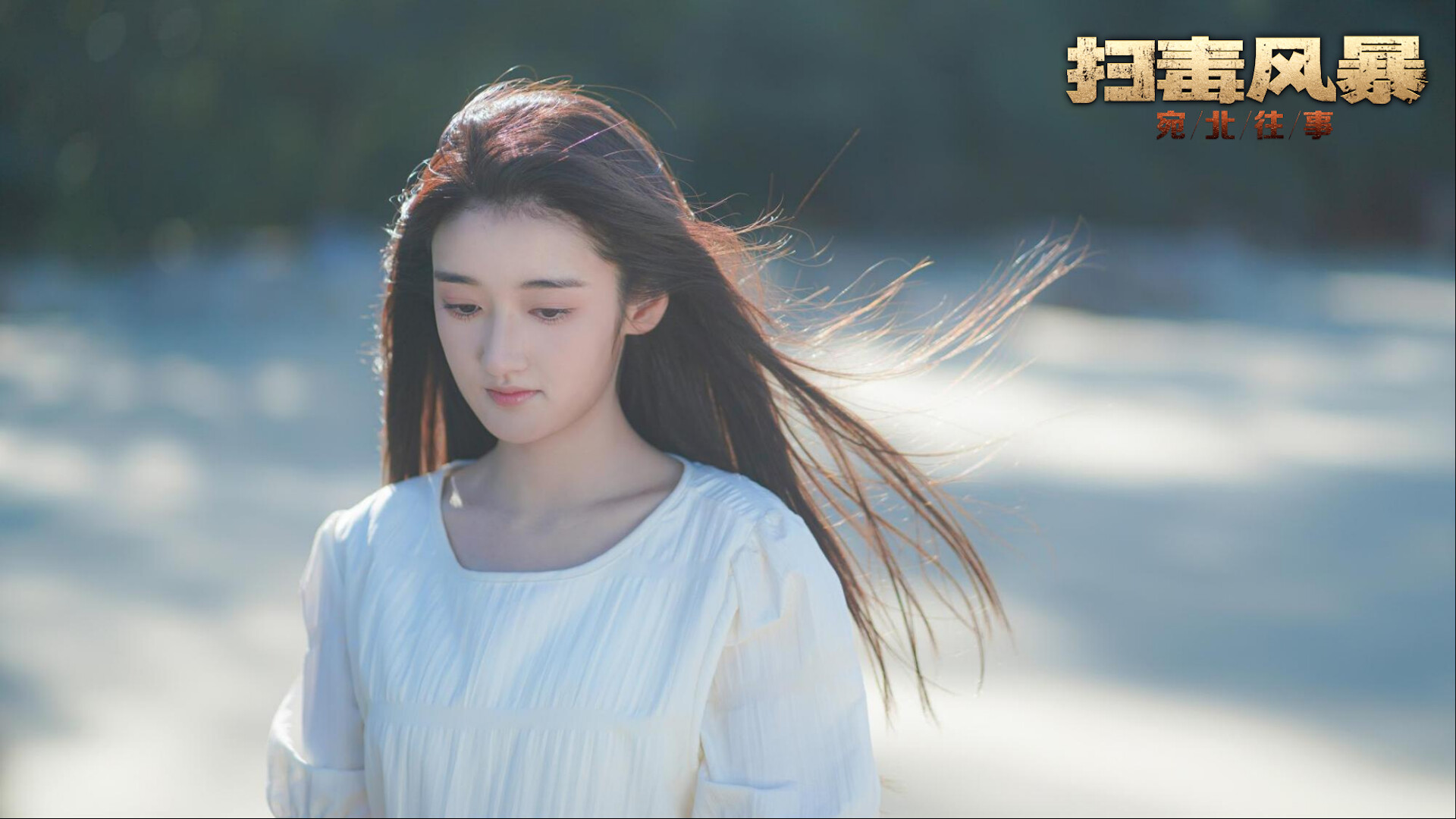 扫毒风暴：宛北往事/The Narcotic Operation