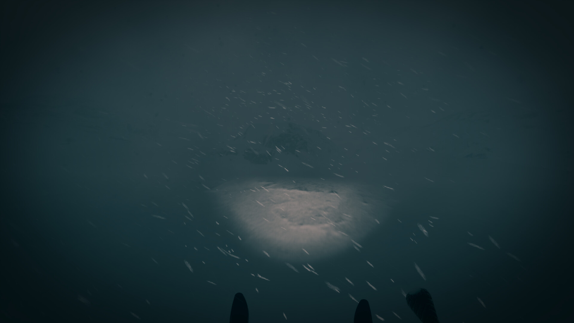 最后的滑雪之旅/The Last Ski Trip