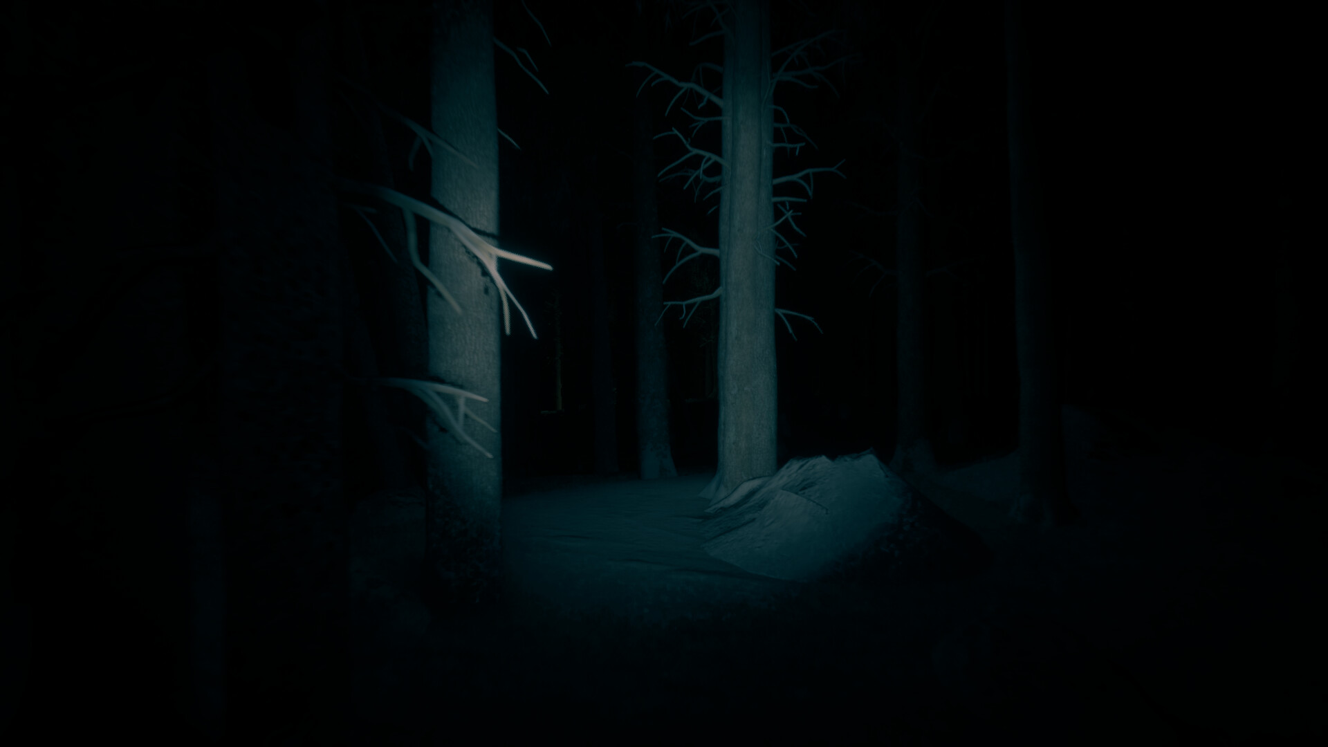 最后的滑雪之旅/The Last Ski Trip