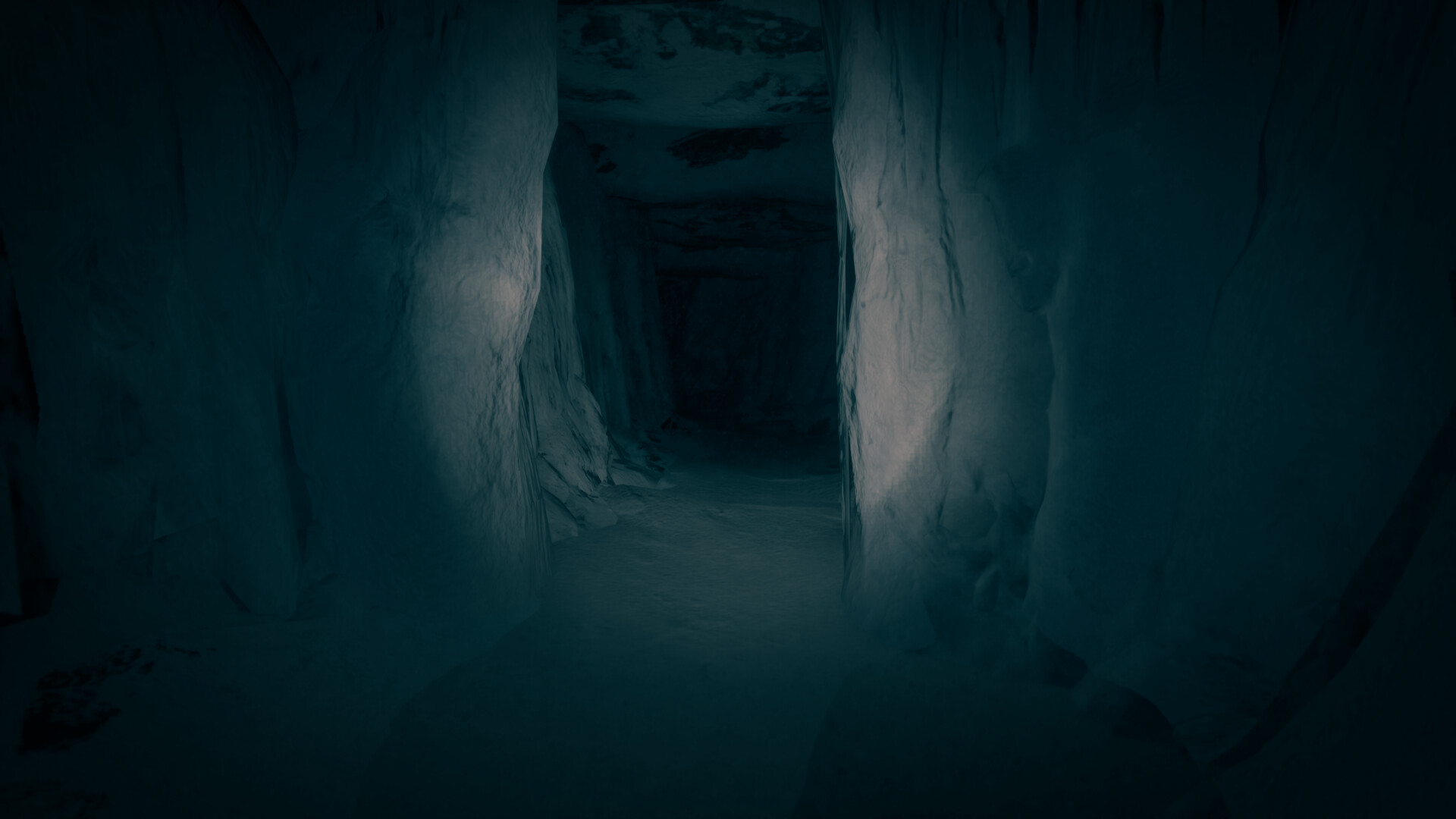 最后的滑雪之旅/The Last Ski Trip