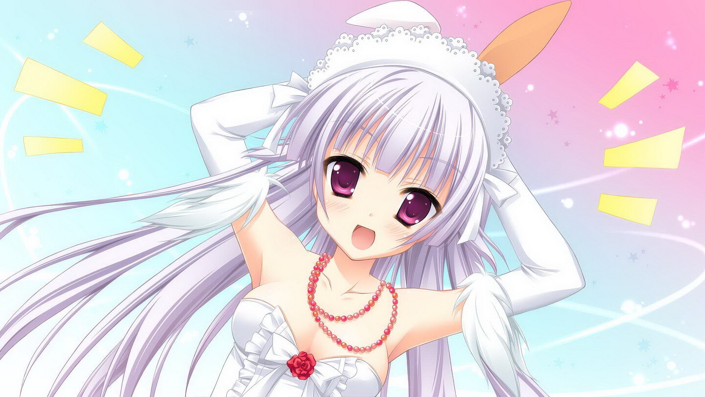 初雪樱/Hatsuyuki Sakura