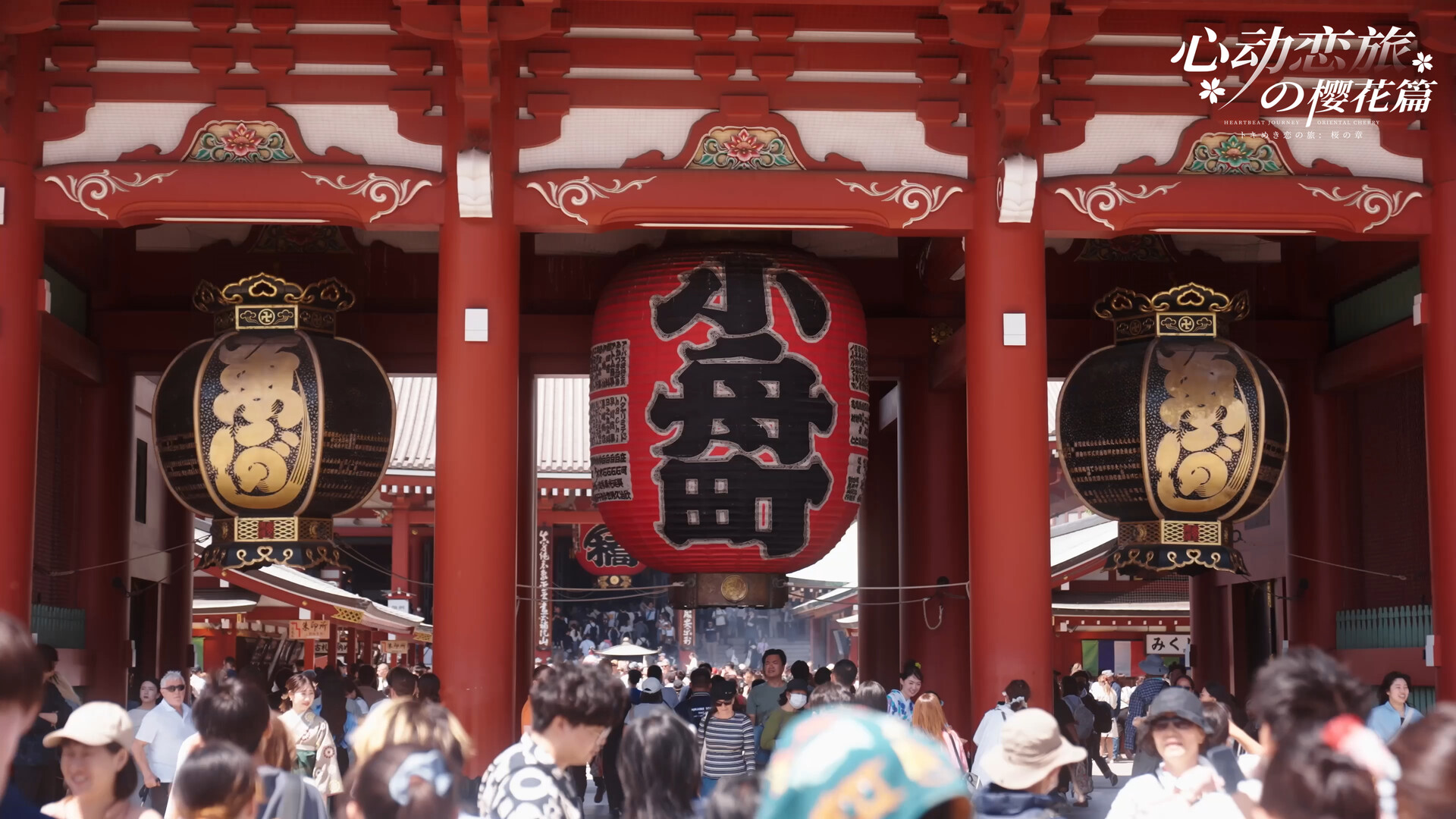 心动恋旅：樱花篇/Blossom Voyage