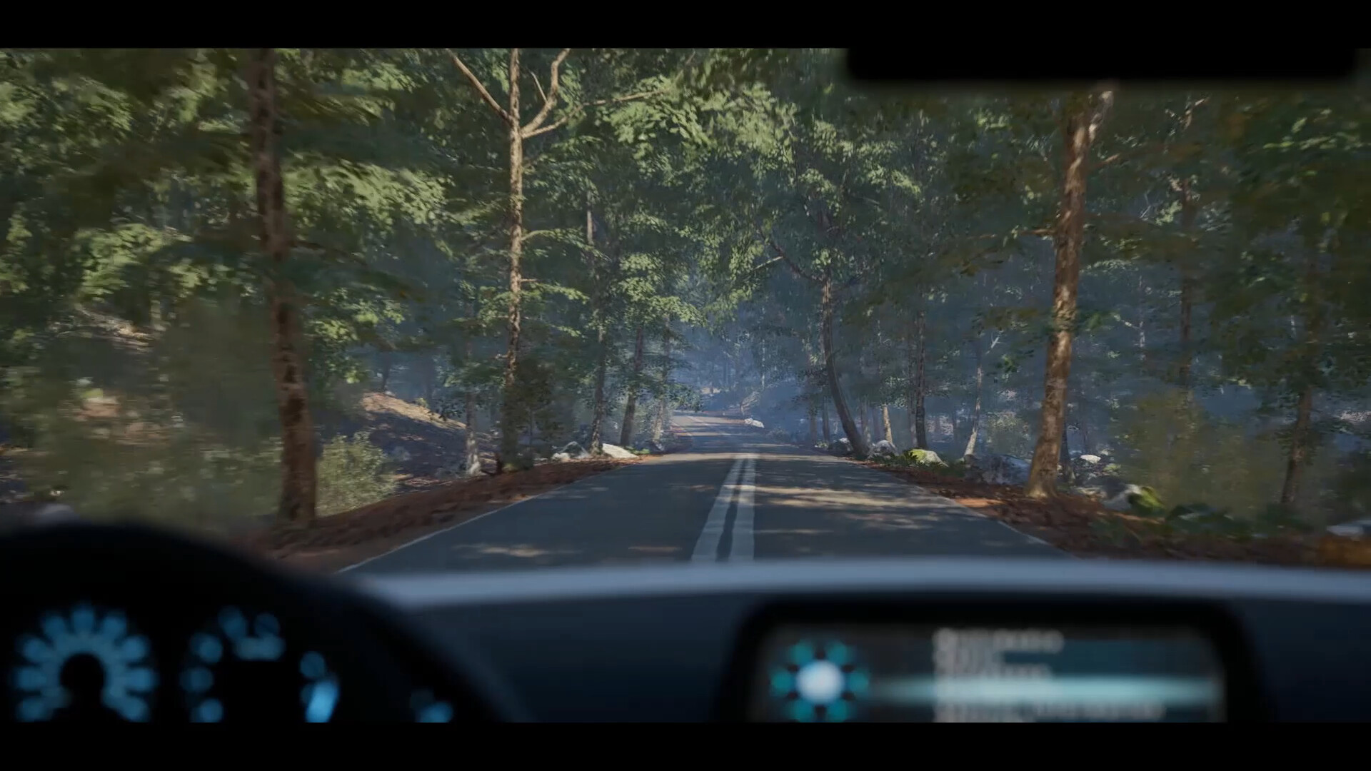 伊芙琳的故事/The Evelyn Game