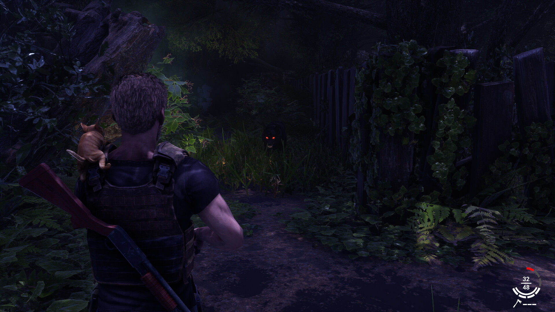 衰变起源/DecayZ Origin