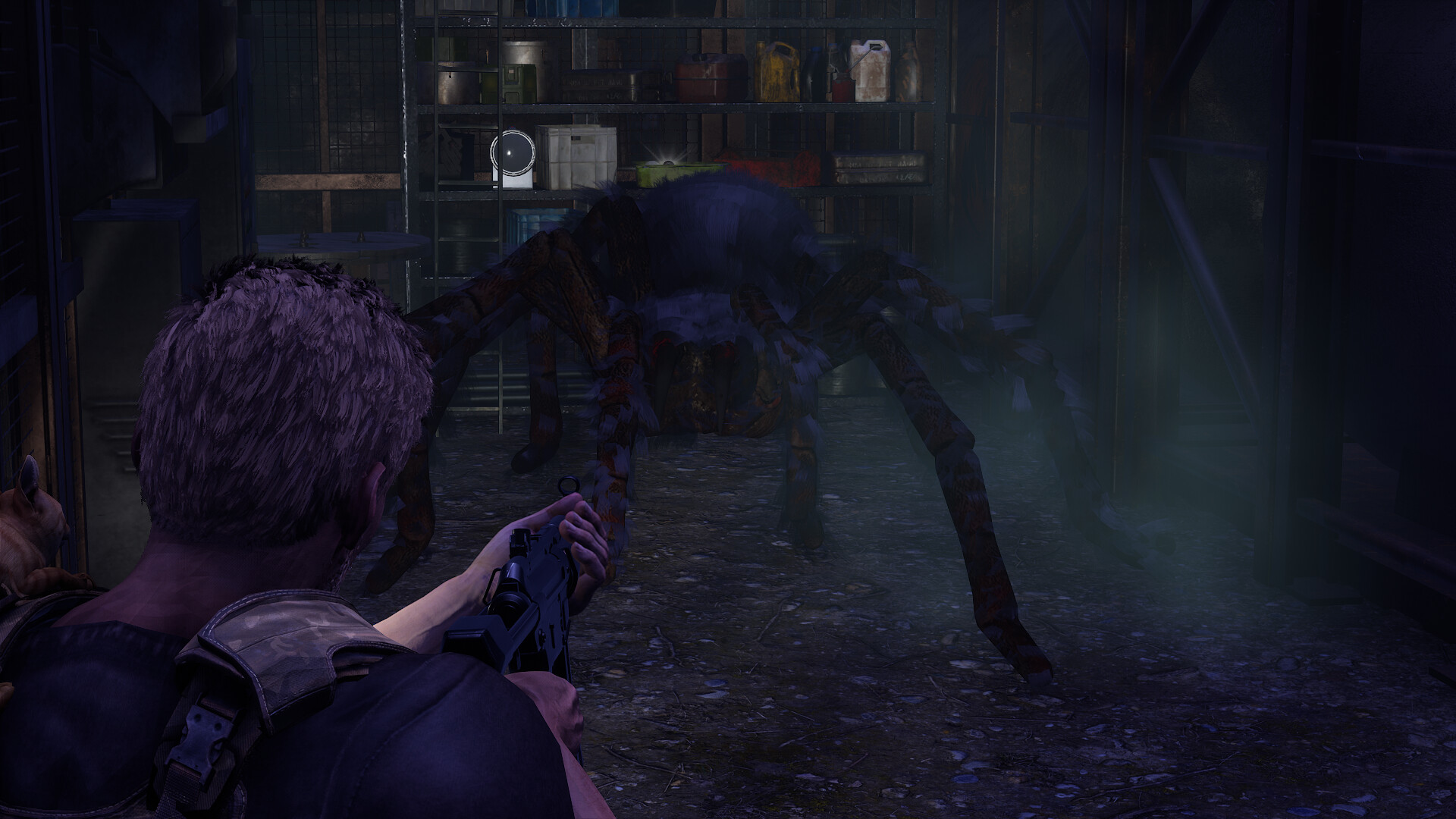 衰变起源/DecayZ Origin