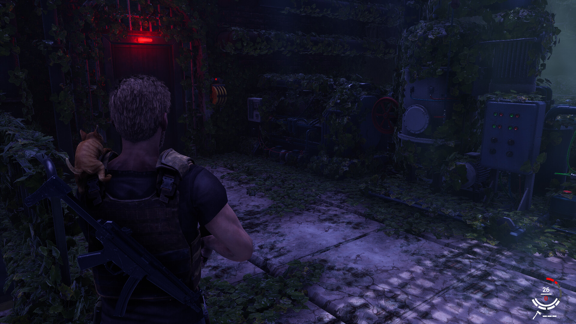 衰变起源/DecayZ Origin