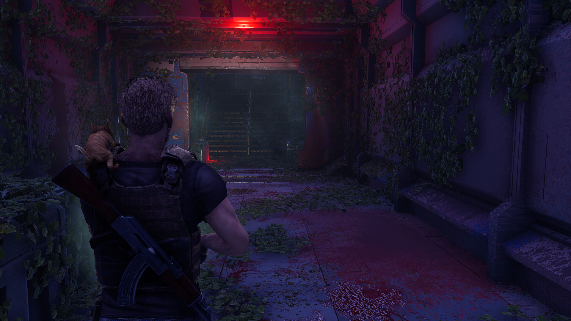 衰变起源/DecayZ Origin