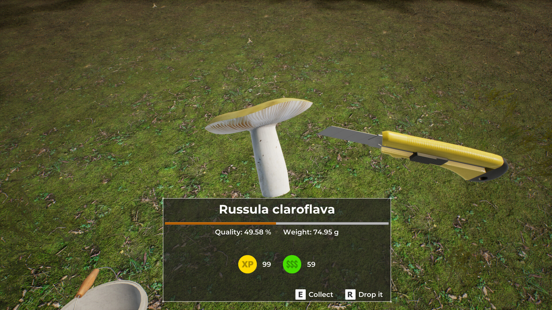 蘑菇猎人世界/Mushroom Hunter World