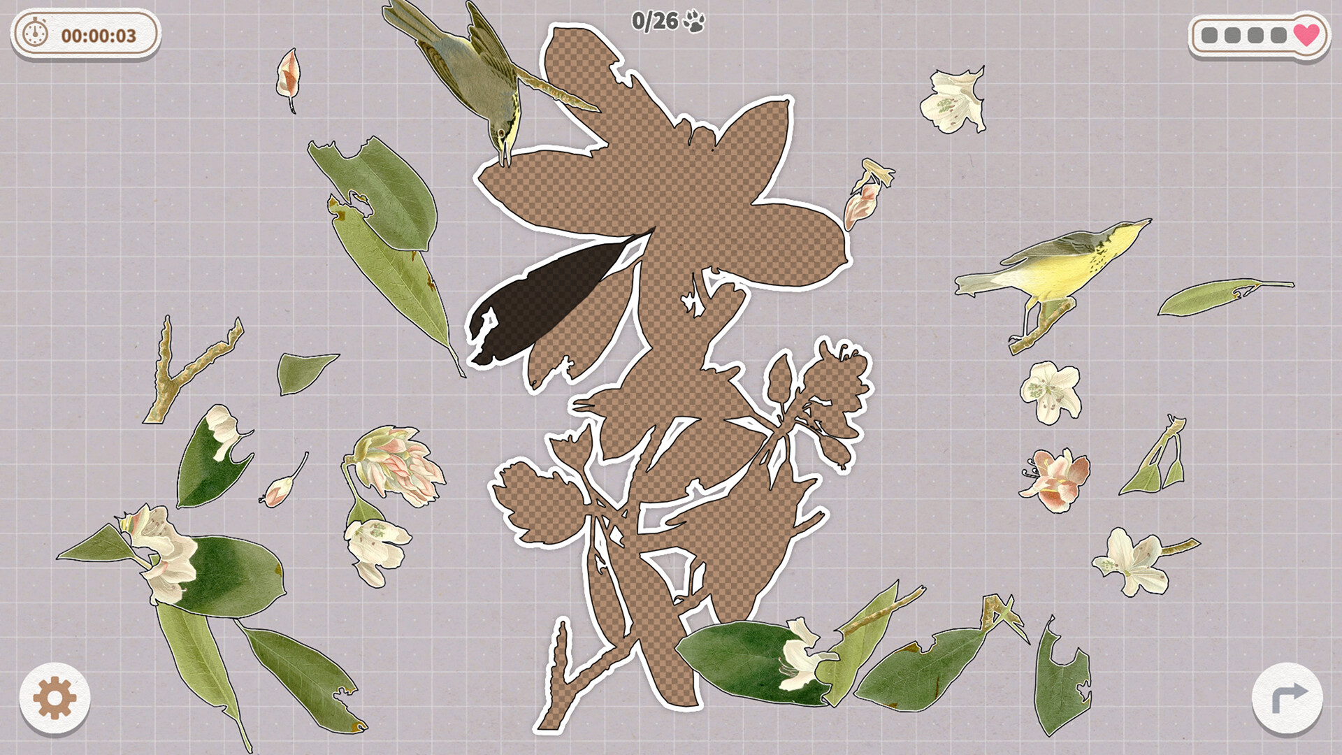 挤在一起的鸟鸟/Birds Huddled Together