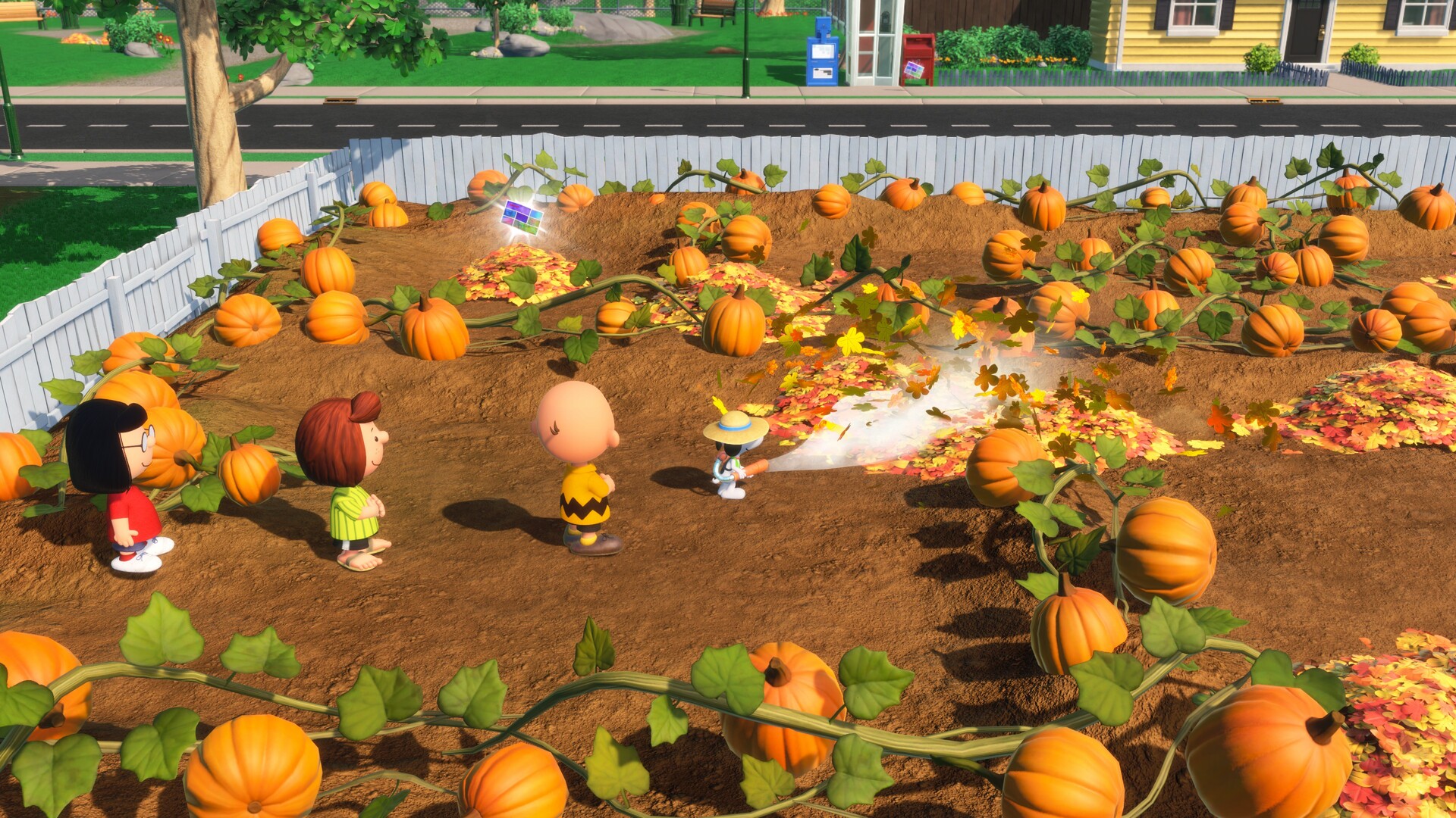 史努比与伟大的神秘俱乐部/Snoopy & The Great Mystery Club