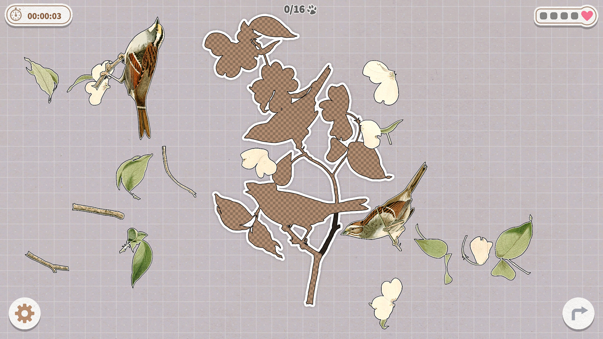 挤在一起的鸟鸟/Birds Huddled Together