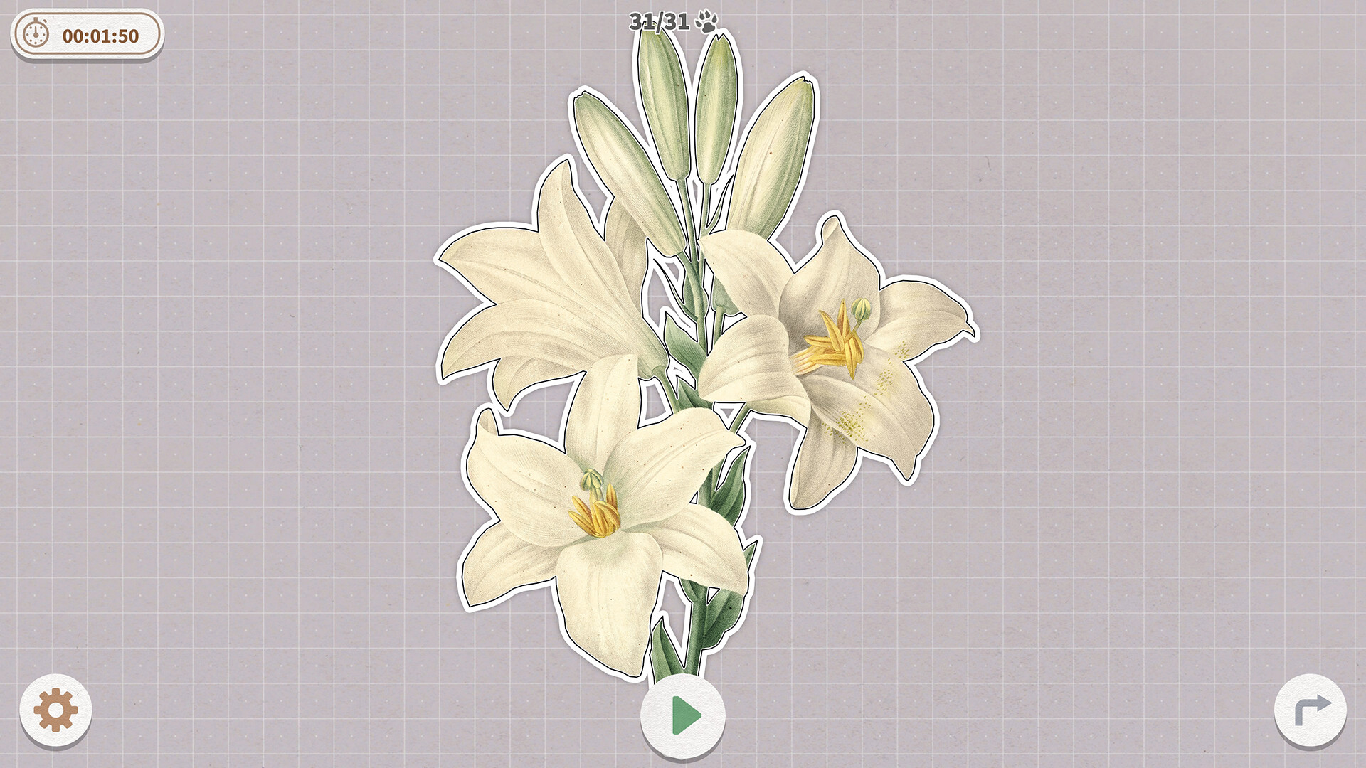 挤在一起的植物/Plants Huddled Together